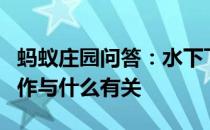 蚂蚁庄园问答：水下飞天舞蹈火爆全网飞天动作与什么有关