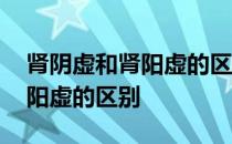 肾阴虚和肾阳虚的区别如何区分 肾阴虚和肾阳虚的区别