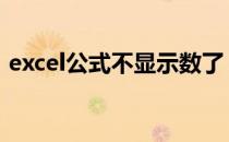 excel公式不显示数了 excel公式不显示结果