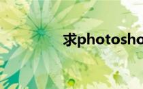 求photoshop701序列号