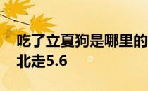 吃了立夏狗是哪里的习俗 吃了立夏狗东西南北走5.6