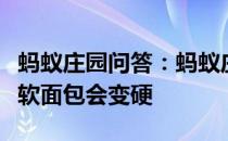 蚂蚁庄园问答：蚂蚁庄园一段时间后饼干会变软面包会变硬