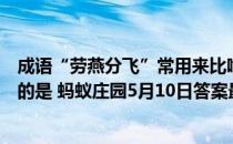 成语“劳燕分飞”常用来比喻夫妻、情侣别离，“劳燕”指的是 蚂蚁庄园5月10日答案最新