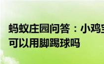 蚂蚁庄园问答：小鸡宝宝考考你在排球比赛中可以用脚踢球吗