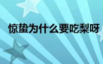 惊蛰为什么要吃梨呀（惊蛰为什么要吃梨）