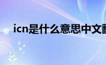 icn是什么意思中文翻译 ICN是什么意思