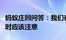 蚂蚁庄园问答：我们在进行高强度的体育锻炼时应该注意