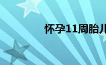 怀孕11周胎儿图 怀孕11周