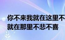 你不来我就在这里不悲不喜 你来或者不来我就在那里不悲不喜