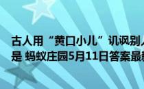 古人用“黄口小儿”讥讽别人年幼无知，“黄口”原意指的是 蚂蚁庄园5月11日答案最新