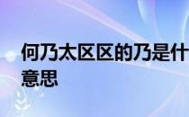 何乃太区区的乃是什么意思 何乃太区区什么意思