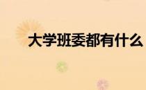 大学班委都有什么 大学班委都有哪些