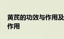 黄芪的功效与作用及副作用 黄芪的功效与副作用