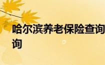 哈尔滨养老保险查询方法 哈尔滨养老保险查询