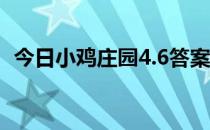 今日小鸡庄园4.6答案 今日小鸡庄园的答案