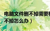 电脑文件删不掉需要权限怎么办（电脑文件删不掉怎么办）