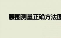 腰围测量正确方法图解 腰围测量示意图