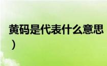 黄码是代表什么意思（什么情况下会变成黄码）