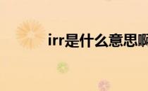 irr是什么意思啊 irr是什么意思