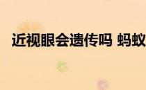 近视眼会遗传吗 蚂蚁庄园5月8日答案最新