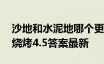 沙地和水泥地哪个更适合烧烤 蚂蚁庄园户外烧烤4.5答案最新