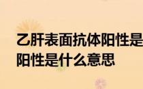 乙肝表面抗体阳性是什么意思 乙肝表面抗体阳性是什么意思