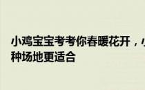 小鸡宝宝考考你春暖花开，小伙伴们相约户外烧烤，以下哪种场地更适合