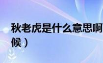 秋老虎是什么意思啊（2021年秋老虎什么时候）