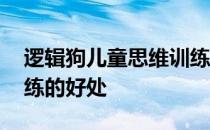 逻辑狗儿童思维训练介绍 逻辑狗儿童思维训练的好处