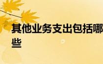 其他业务支出包括哪些 其他业务支出包括哪些