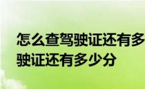 怎么查驾驶证还有多少分可以扣分 怎么查驾驶证还有多少分