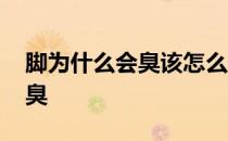 脚为什么会臭该怎么做才不会臭 脚为什么会臭