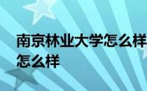 南京林业大学怎么样就业前景 南京林业大学怎么样