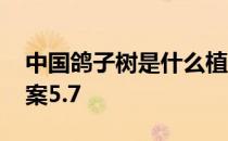 中国鸽子树是什么植物 珙桐桫椤蚂蚁新村答案5.7