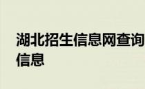 湖北招生信息网查询投档录取状态 湖北招生信息