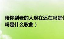 陪你到老的人现在还在吗是什么歌（陪你到老的人现在还在吗是什么歌曲）