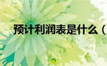 预计利润表是什么（什么是预计利润表）