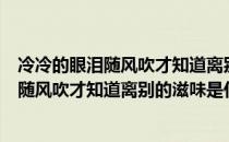 冷冷的眼泪随风吹才知道离别的滋味是什么歌（冷冷的眼泪随风吹才知道离别的滋味是什么歌曲）