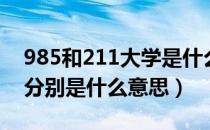 985和211大学是什么意思（985和211大学分别是什么意思）