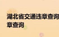 湖北省交通违章查询热线电话 湖北省交通违章查询