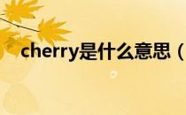 cherry是什么意思（cherry指的是什么）