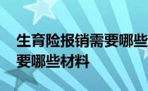 生育险报销需要哪些材料图片 生育险报销需要哪些材料