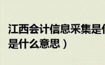 江西会计信息采集是什么（江西会计信息采集是什么意思）