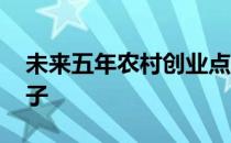 未来五年农村创业点子 未来五年农村创业点子