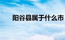 阳谷县属于什么市 阳谷县属于哪个市