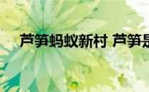 芦笋蚂蚁新村 芦笋是不是笋4月4日答案