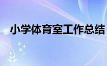 小学体育室工作总结 小学体育室工作计划