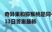 奇异果和猕猴桃是同一种水果吗 蚂蚁庄园4月13日答案最新