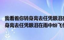 我看着你转身离去任凭眼泪在雨中纷飞什么歌（我看着你转身离去任凭眼泪在雨中纷飞什么歌名）