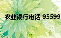 农业银行电话 95599 95599中国农业银行